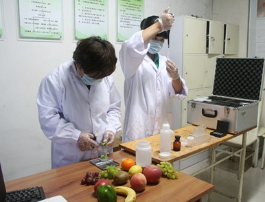 深圳蘑菇檢測食用菌金針菇農藥殘留監測