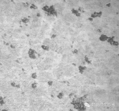 6大高碳鉻鋼制軸承套圈熱處理缺陷分析