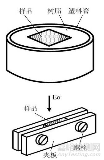 掃描電子顯微鏡