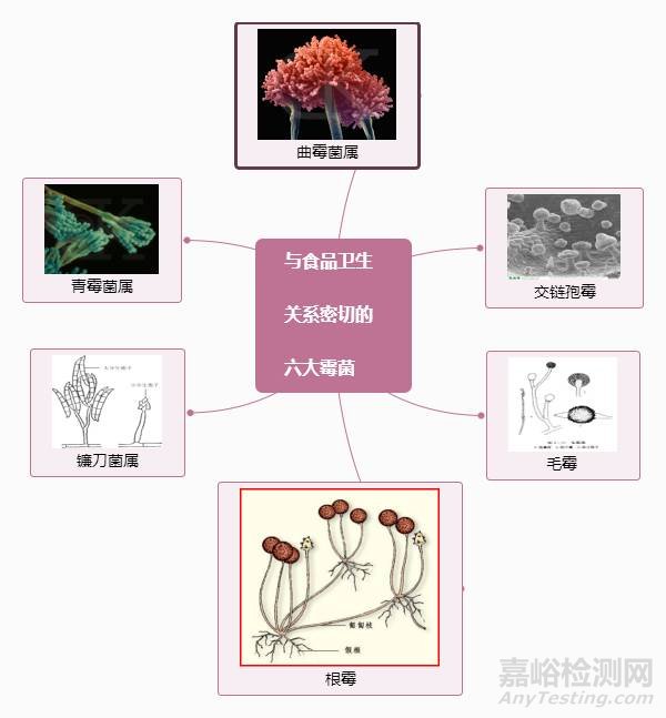 食品生產(chǎn)車間霉菌超標(biāo)處理方法