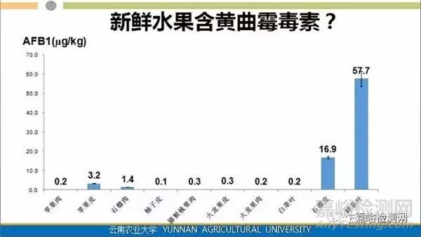 普洱茶致癌，黃曲霉素