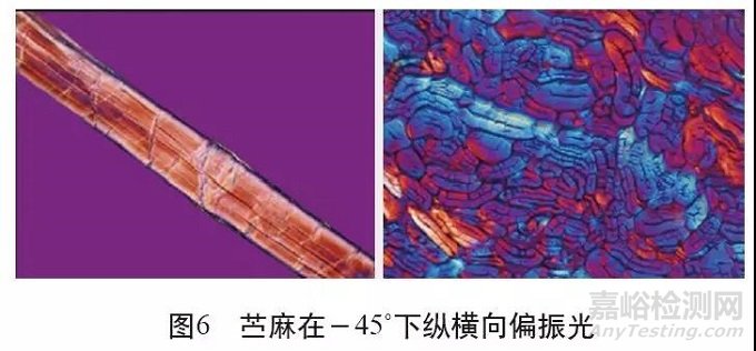 各類麻纖維在不同顯微鏡下的特征分析