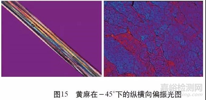 各類麻纖維在不同顯微鏡下的特征分析