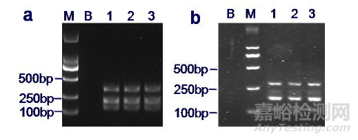 川貝母PCR-RFLP法鑒別檢驗能力驗證活動分析