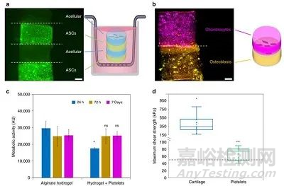 納米顆粒的形狀結構如何影響復合水凝膠的粘合性和機械性能 