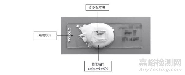 硬組織切磨技術及操作要點
