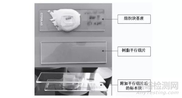 硬組織切磨技術及操作要點