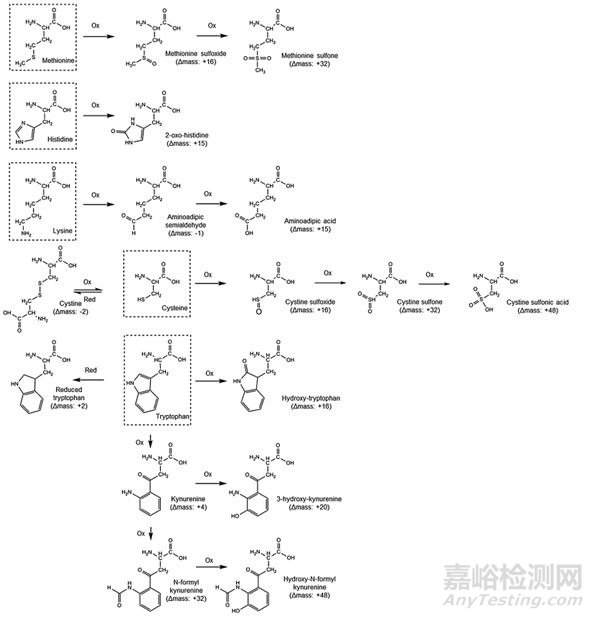 合成多肽藥物質控及雜質譜研究