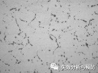 2Cr13Mn9Ni4不銹鋼卡箍腐蝕開裂分析