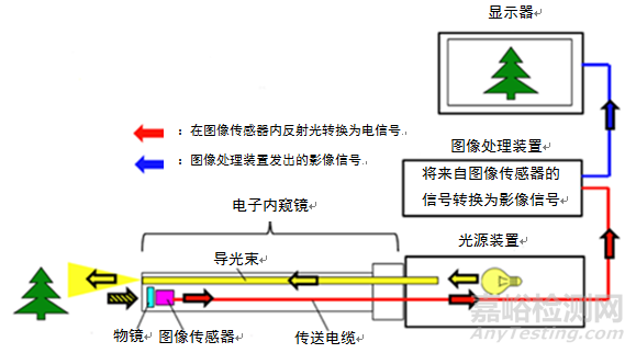 電子上消化道內窺鏡注冊技術審查指導原則