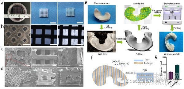3D生物打印仿生半月板支架應用于組織工程領域