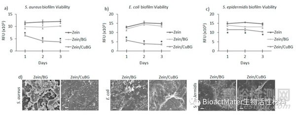 玉米蛋白-生物活性玻璃/銅基涂層用于植入式不銹鋼的抗菌、促血管生成和促骨整合：旨在促進(jìn)骨愈合