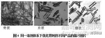 結晶工藝：晶型、晶習、粒度分布