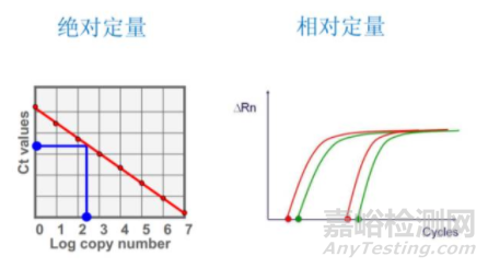 熒光定量PCR要點大解析