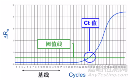 熒光定量PCR要點大解析