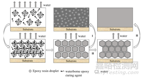 非離子型水性環氧固化劑研究