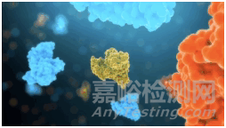 人工智能聯合蛋白質組學引發藥物研發生物學底層變革
