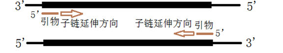 分子診斷技術全解析