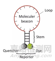 分子診斷技術全解析
