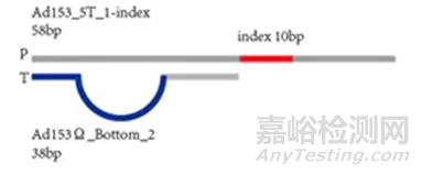 分子診斷技術全解析