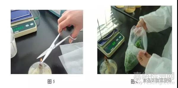 微生物取樣、樣品制備技巧及稀釋、接種、培養方法匯總