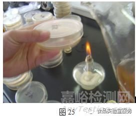 微生物取樣、樣品制備技巧及稀釋、接種、培養方法匯總