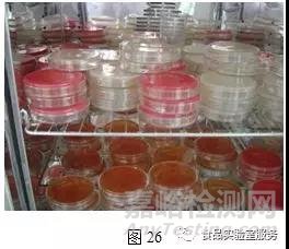 微生物取樣、樣品制備技巧及稀釋、接種、培養方法匯總