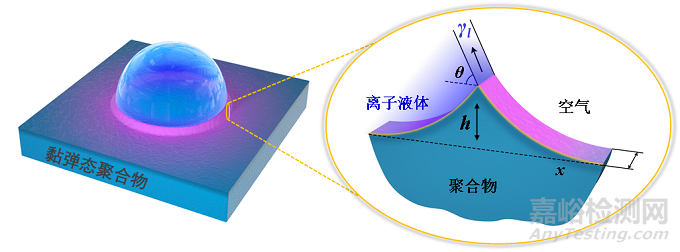 聚合物表面分子動力學的表征和新機制