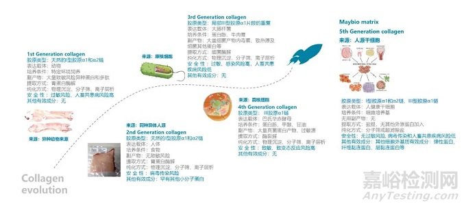 細胞外基質復合膠原蛋白成醫美新寵