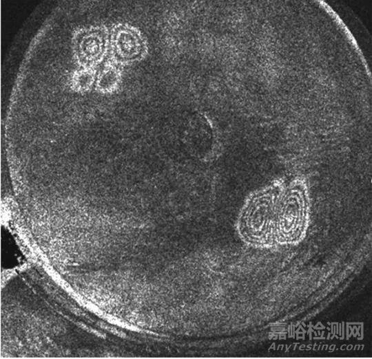 自由裝填式藥柱包覆層黏接質量的激光錯位散斑檢測