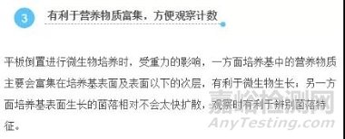 微生物培養皿接種后要倒置培養的原因分析
