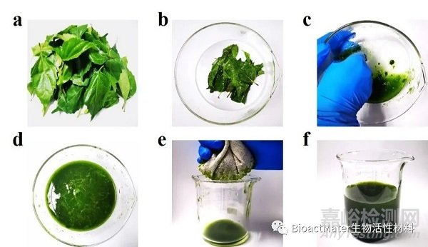 中藥微針補片用于創面修復|Bioactive Materials