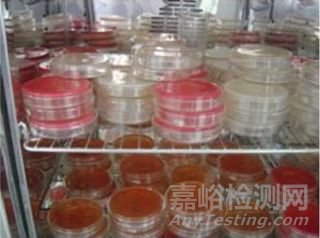 微生物取樣、樣品制備技巧及稀釋、接種、培養(yǎng)方法匯總！