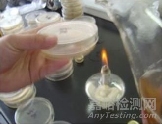 微生物取樣、樣品制備技巧及稀釋、接種、培養(yǎng)方法匯總！