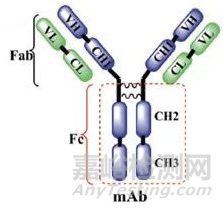 國(guó)內(nèi)大分子新藥研發(fā)格局