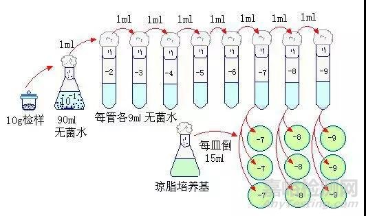 菌落總數檢測技術要點