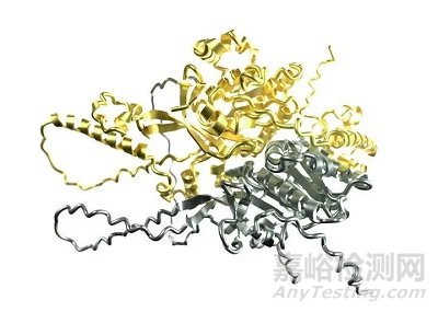 《Science》公布2021年度十大科學突破
