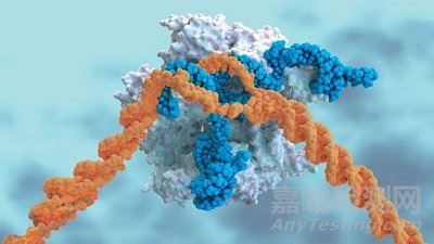 《Science》公布2021年度十大科學突破