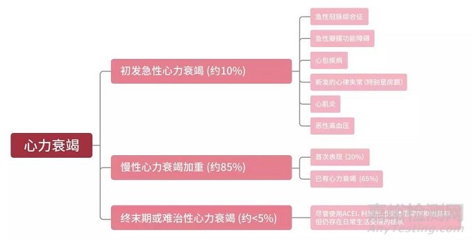 心血管病最后的戰(zhàn)場(chǎng)，心衰器械治療的黃金十年