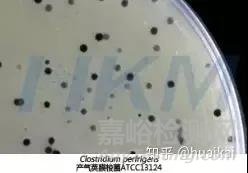 產(chǎn)氣莢膜梭菌檢驗(yàn)注意事項(xiàng)