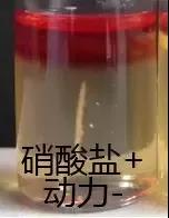 產(chǎn)氣莢膜梭菌檢驗(yàn)注意事項(xiàng)