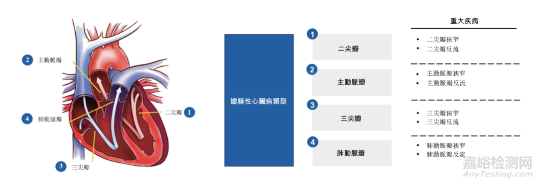 心臟瓣膜介入醫療器械專利分析報告