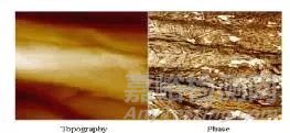 一文讀懂原子力顯微鏡（AFM）測試