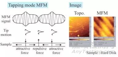 一文讀懂原子力顯微鏡（AFM）測試