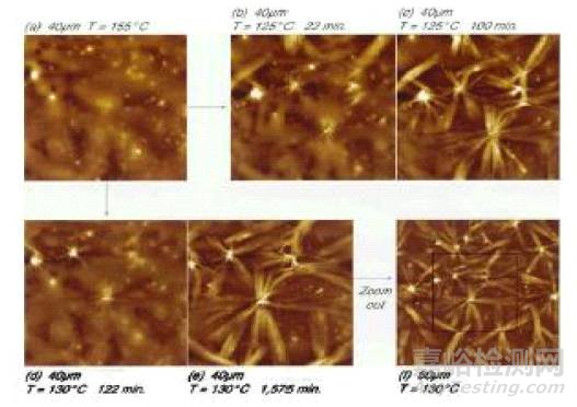 一文讀懂原子力顯微鏡（AFM）測試