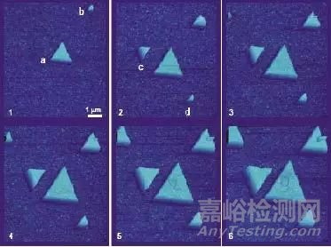 一文讀懂原子力顯微鏡（AFM）測試