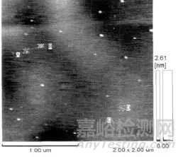 一文讀懂原子力顯微鏡（AFM）測試