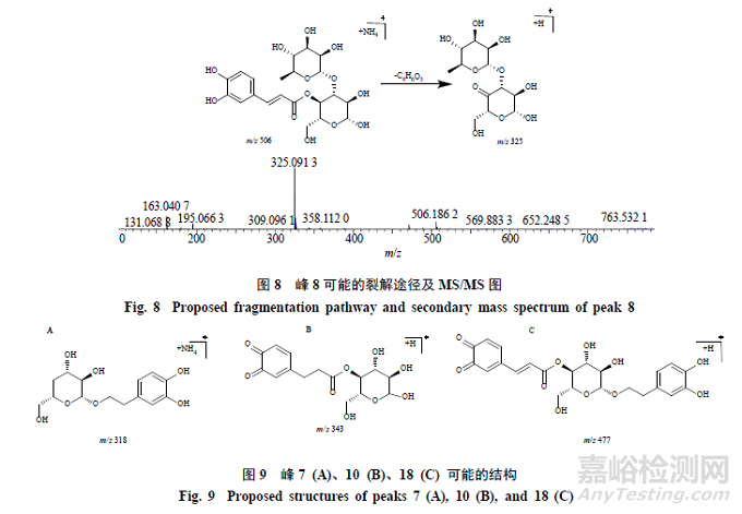 pH對毛蕊花糖苷穩定性影響及降解產物分析