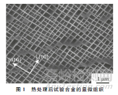 應(yīng)變幅對(duì)一種新型鎳基單晶高溫合金高溫低周疲勞性能的影響