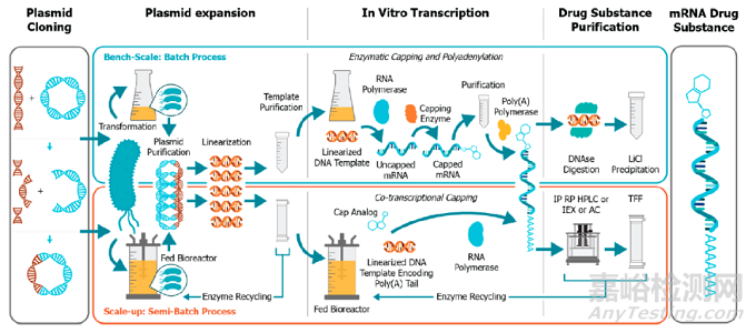 mRNA 藥物生產技術和現狀